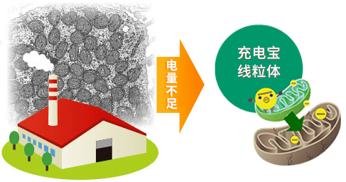 想降低胚染异常率，这2个方法或许可以试试！