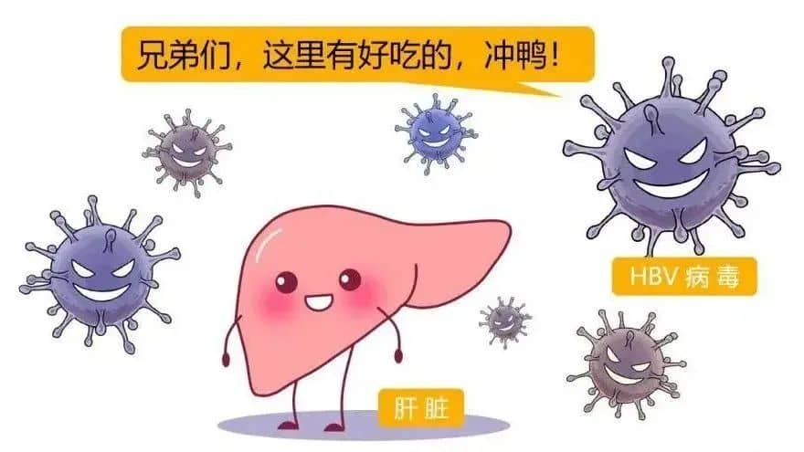 患了乙肝还能生育健康宝宝吗？真相是......