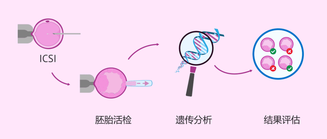 筛查过的囊胚为何还会移植失败？这4个点非常关键！