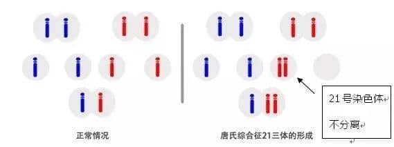 筛查过的囊胚为何还会移植失败？这4个点非常关键！