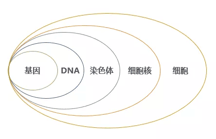 筛查过的囊胚为何还会移植失败？这4个点非常关键！