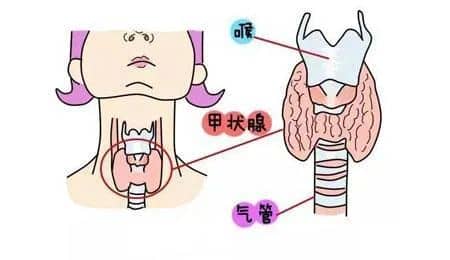 总是流产，警惕这5种内分泌疾病！