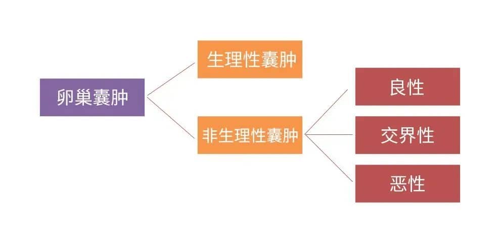 每天喝咖啡会导致卵巢囊肿？真相​居然是这样！​