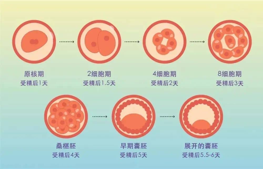 这3类人群才是适合养囊的选手，看看你是否在其中！