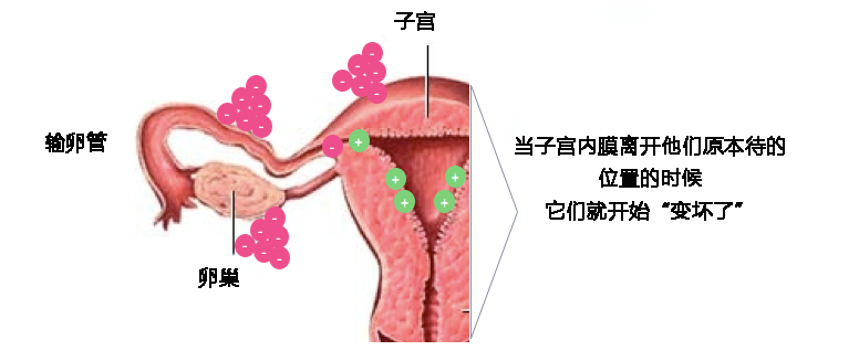 备孕失败不是你的错，有可能是它在作怪！