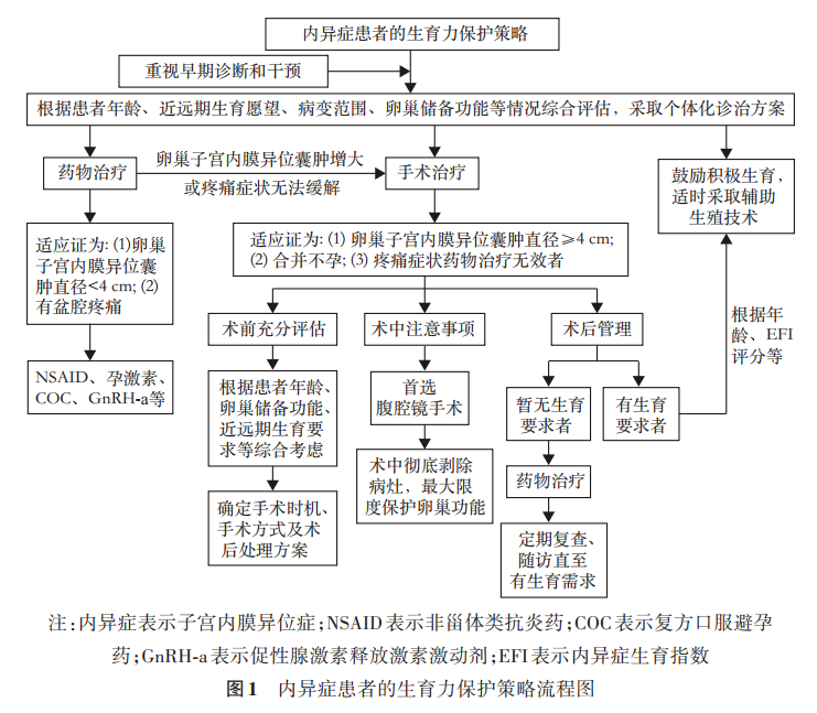 子宫内膜异位症的促排方案指南，哪个最适合你？