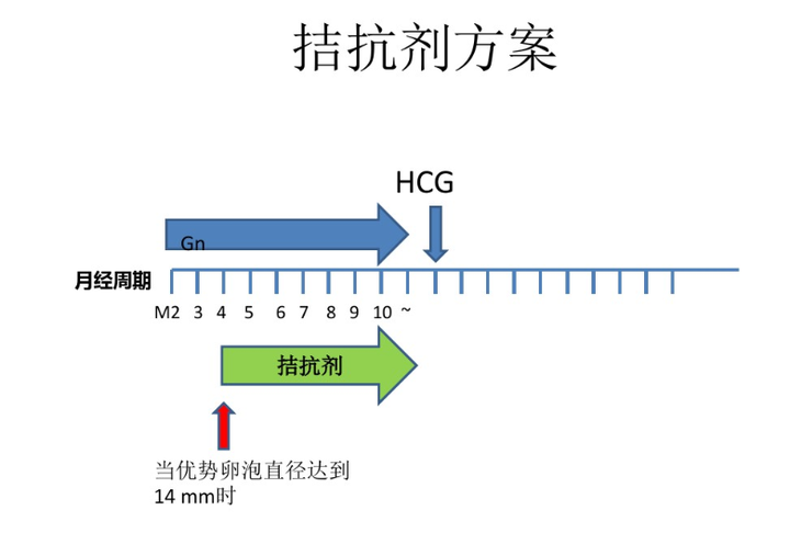 8岁以上的女性试管，做好这四点可快速抱娃！"