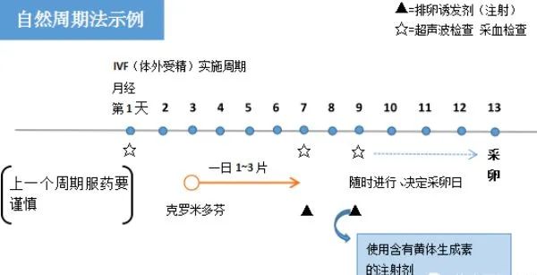 卵泡偏小，机会渺茫? 看完这篇文章你可以放心了