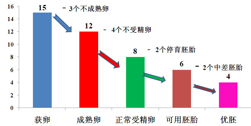 试管人群必看：为什么卵泡数≠取卵数≠胚胎数？