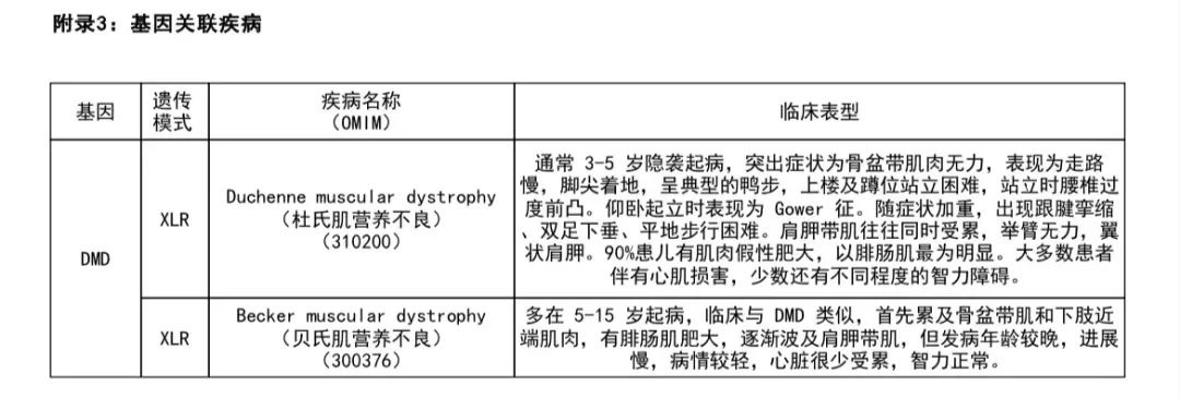 假肥大型肌营养不良症，该如何“逆天改命”？