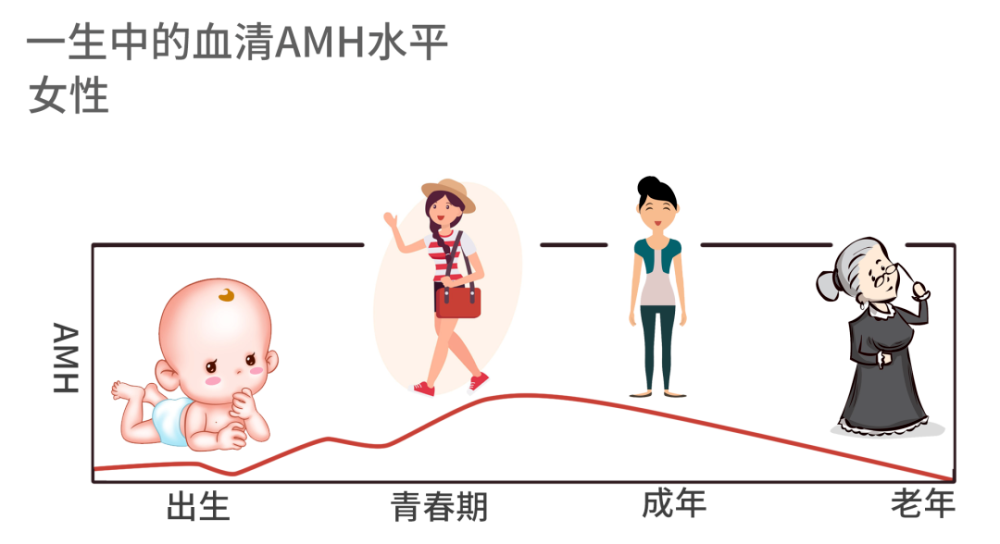 备孕人群必看，AMH值在这个范围最容易怀孕！