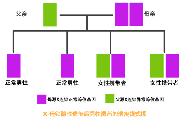 基因携带者筛查真的是“智商税”？这几类人必做！