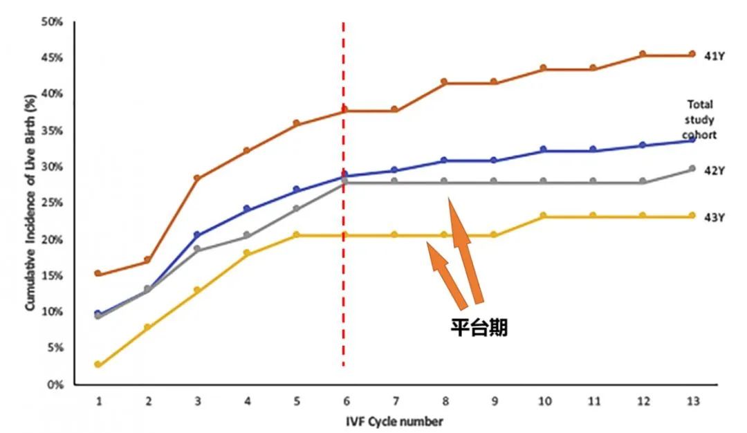 高龄女性，试管婴儿要做多少次才能成功？