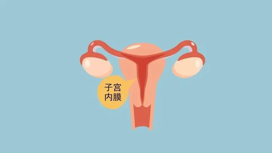 高龄女性，试管婴儿要做多少次才能成功？