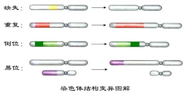 生化妊娠要重视，做好这两点避免再次发生！