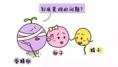 胚胎着床总失败？做好这3点很重要！