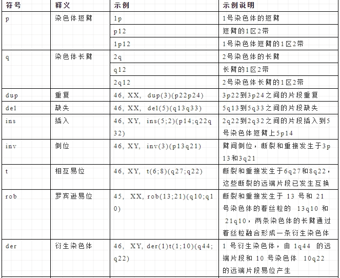 哪些人群需要检查染色体？