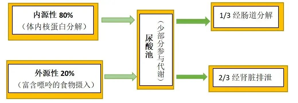 会降低卵巢功能引发流产，这个指标原来这么重要！