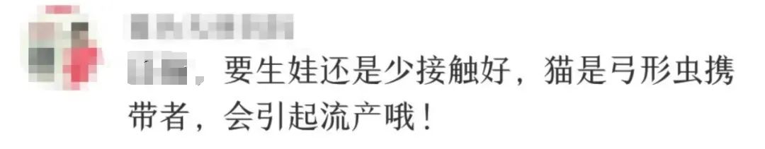 准妈妈“撸猫”染上弓形虫? 这几件事一定要注意……