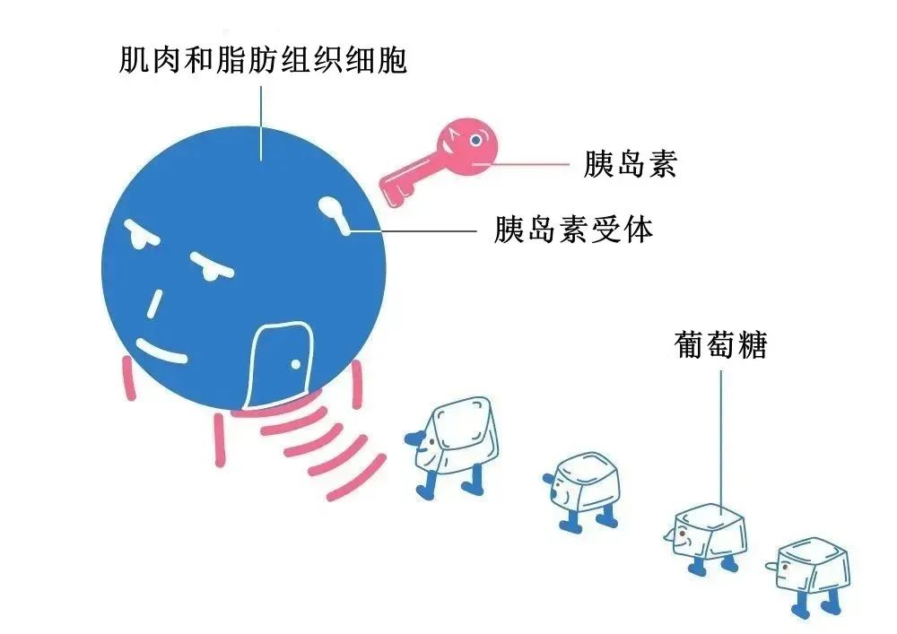 0%以上的不孕、流产和试管失败，都是因为它！"