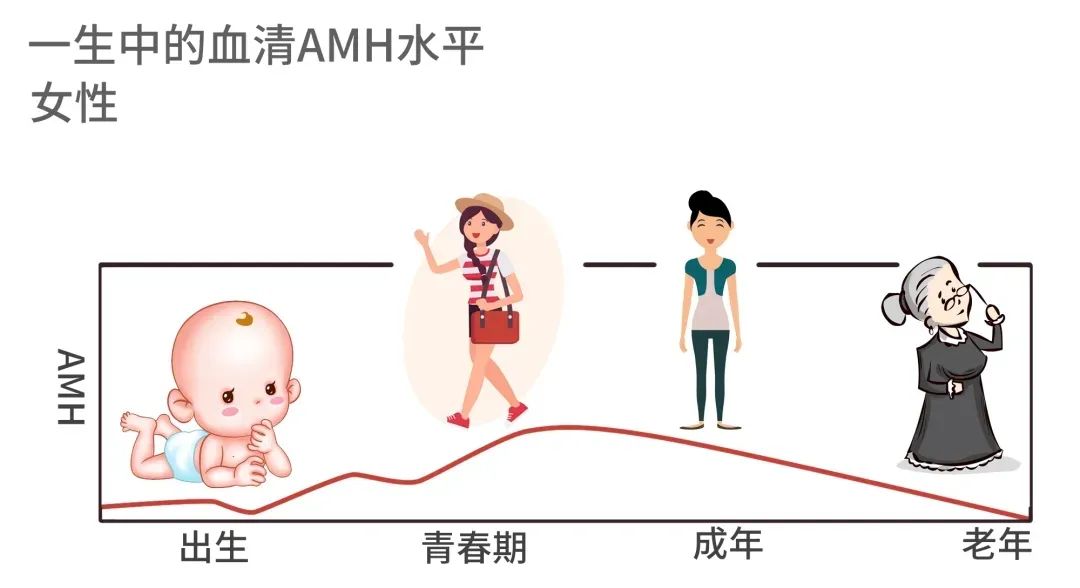 AMH低，要怎么做才能逆袭好孕？