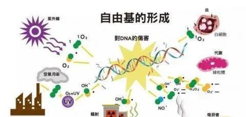 0+高龄，被医生夸赞的好卵子是这样养出来的！"