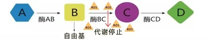 0+高龄，被医生夸赞的好卵子是这样养出来的！"