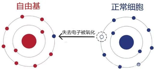 0+高龄，被医生夸赞的好卵子是这样养出来的！"