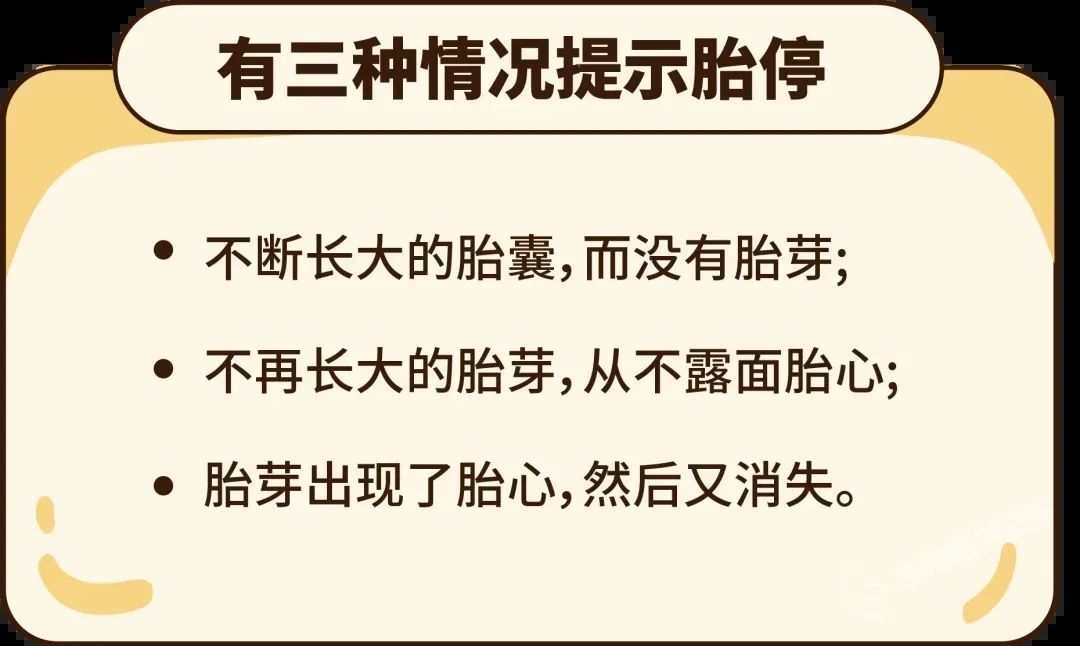 怀得好好的怎么突然就胎停了？