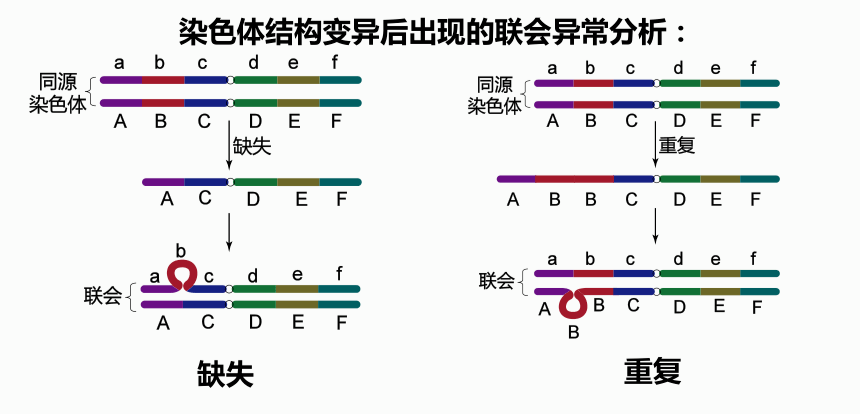 怀得好好的，为什么突然胎停了？