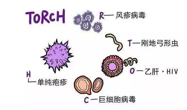 怀得好好的，为什么突然胎停了？