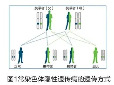 正常夫妻生的娃就一定没遗传病？误会大了！