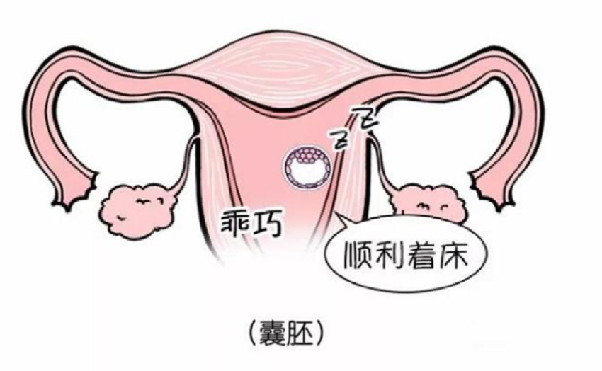 补了孕激素，为什么内膜还是长不好?