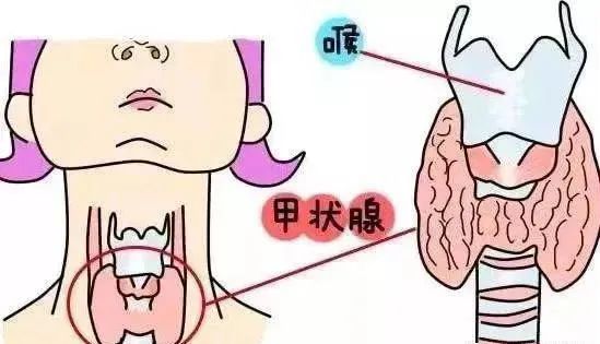 补了孕激素，为什么内膜还是长不好?