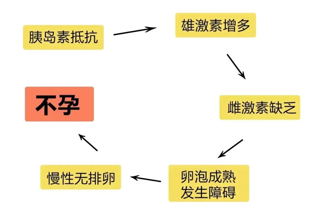 除了高龄，胰岛素抵抗也在拉胯你的生育力！