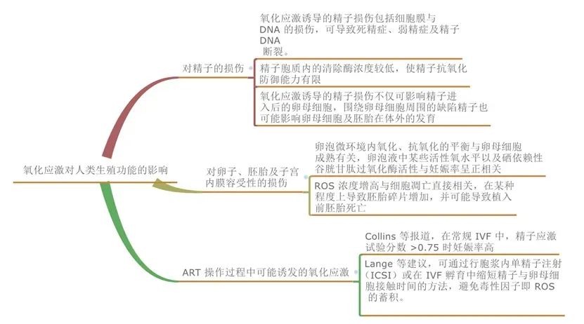 养卵第一步，从「抗氧化」开始！