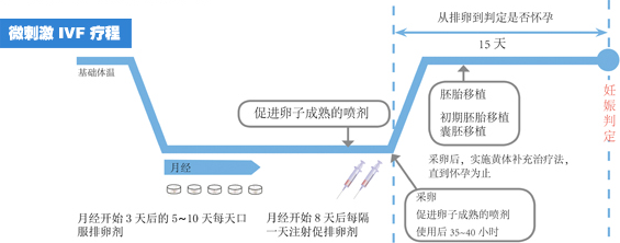 高龄卵少成功率低? 用对策略一样能赢