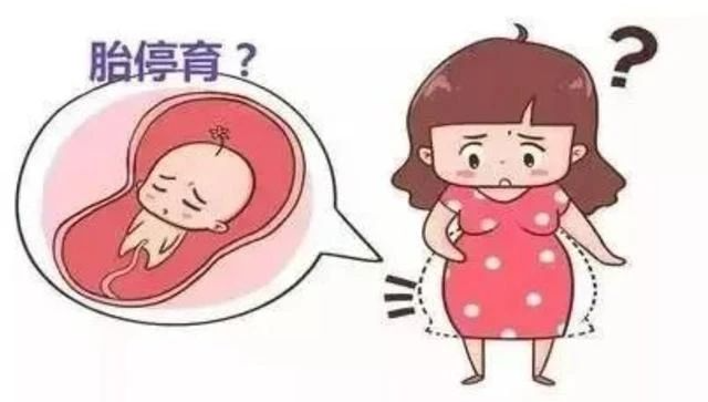 正常夫妻为什么也会遭遇“胎停”？