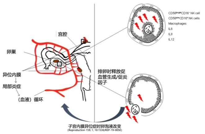 0%的难孕人群，都是因为这个因素在作怪！"