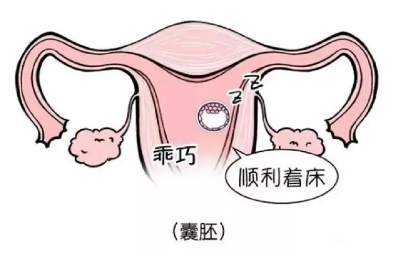 胚胎移植后有少量出血，是怎么回事?