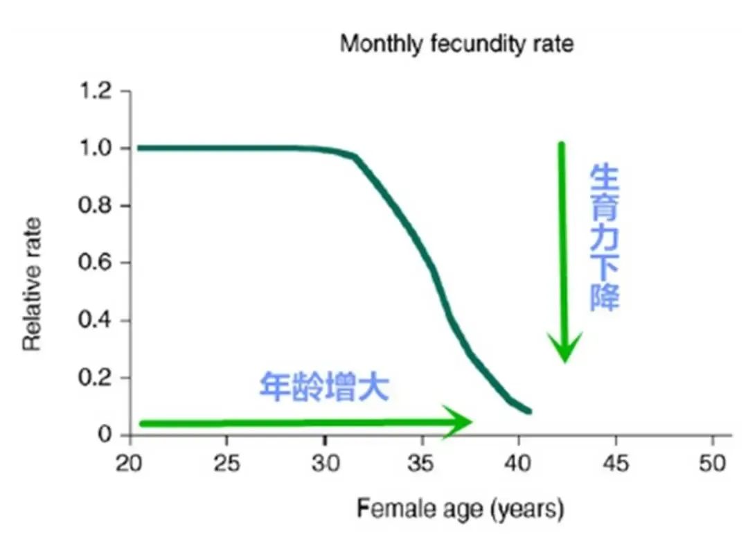 高龄女性的生育阻力究竟有哪些？