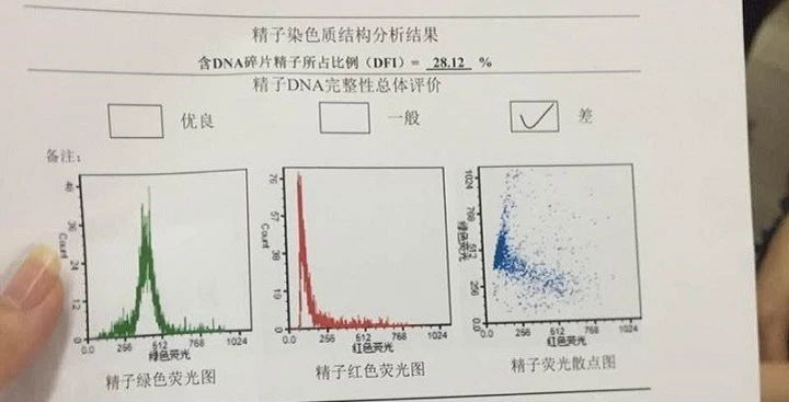 男性高龄，会导致精子碎片率迅速上升！