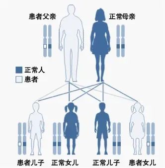 遗传病的遗传模式是怎么样的？今天一文讲清！