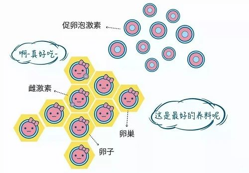 反复移植失败，原来是这个检查没做好！