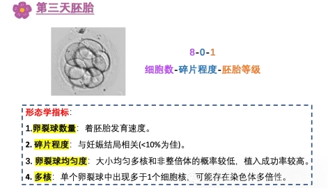 试管婴儿中为什么解冻后的胚胎还会掉等级？