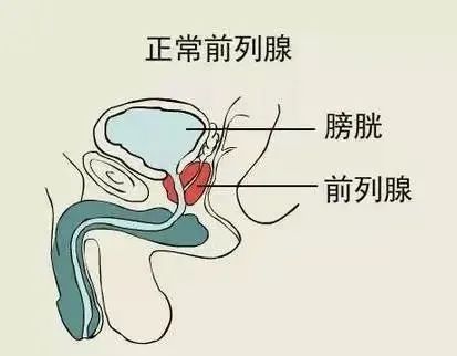 胚胎移植是否成功，和这个因素也有关！