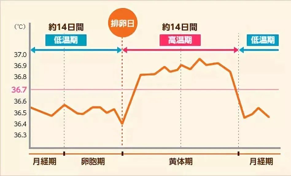 卵子质量怎么看？这六个自测方法要知道！