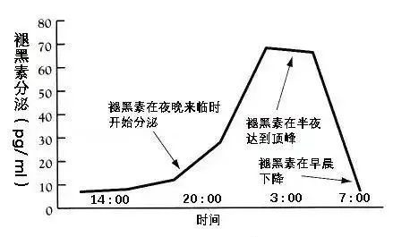 改善线粒体功能最简单的方法，别说你不知道！