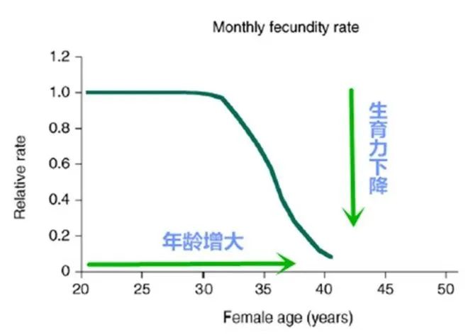 高龄女性备孕难，这些生育策略你get到了吗？