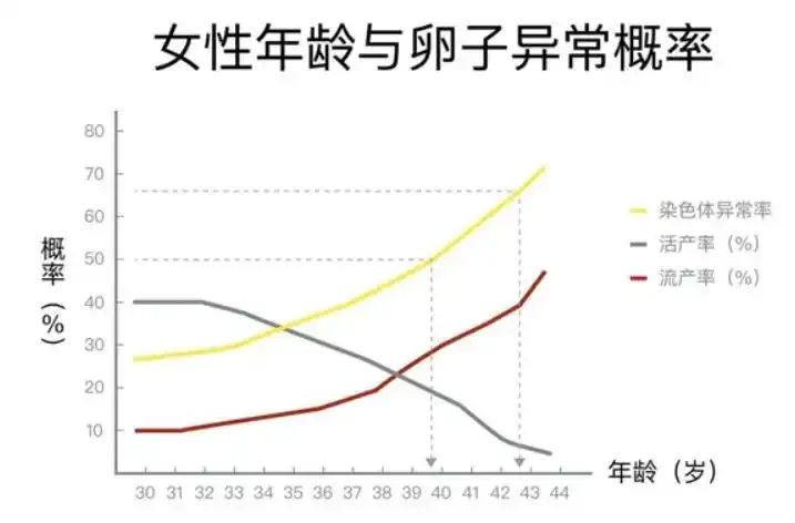 养卵第一步，减少过度氧化带来的伤害！